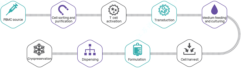 Biotech Mrna