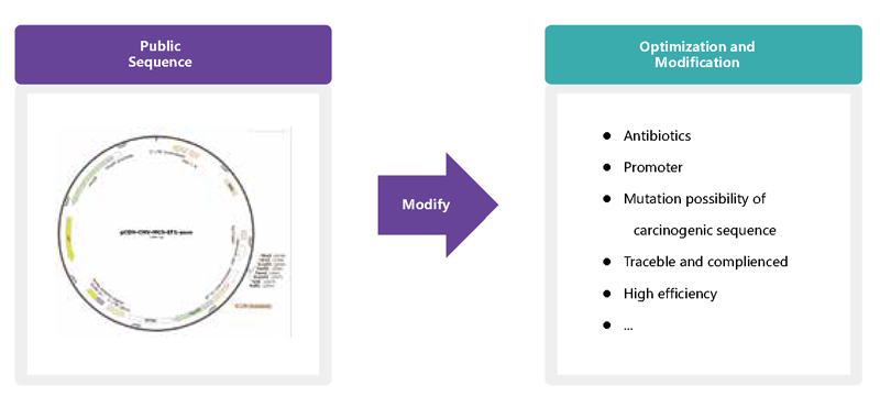 Mrna Based Therapeutics