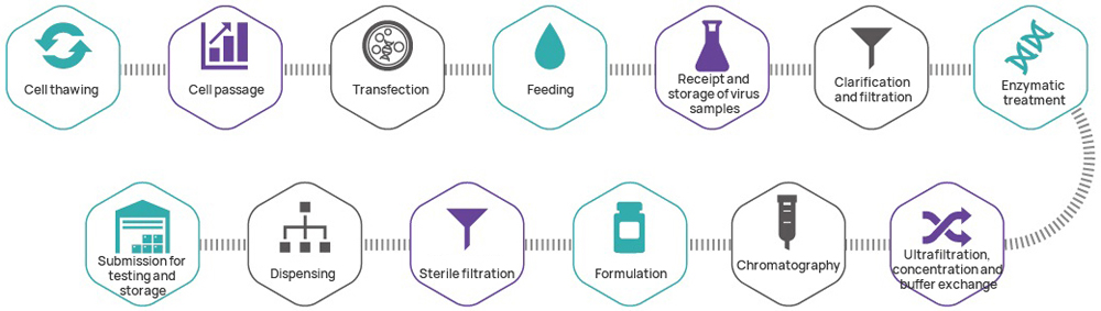 Tcr T Cell Therapy Companies