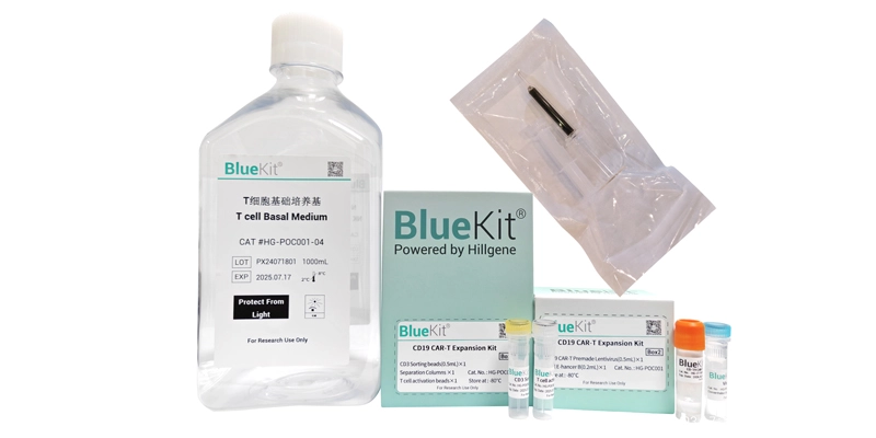 CD19 CAR T Cell Preparation Kit