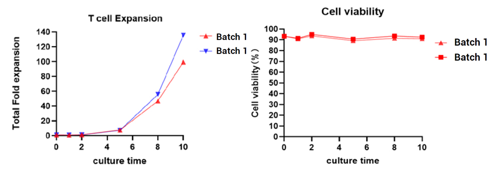 Data of CD19 CAR T Cell Preparation Kit