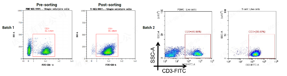 Data of CD19 CAR T Cell Preparation Kit