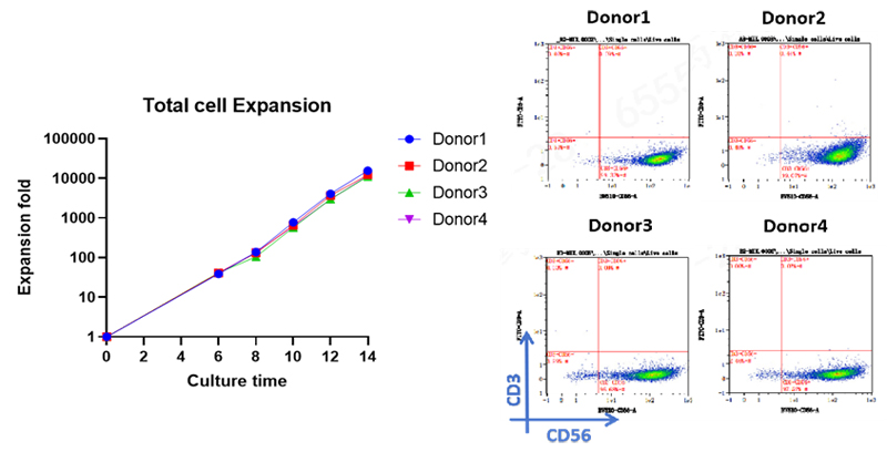 Data of NK Cell Expansion Kit