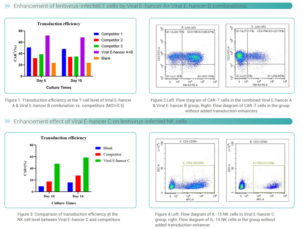 Data of Viral Transduction Enhancer A/B/C (ROU/GMP)