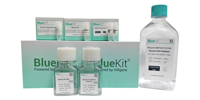 Lentiviral Packaging Kit