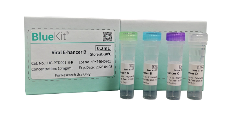 Viral Transduction Enhancer A/B/C (ROU/GMP)
