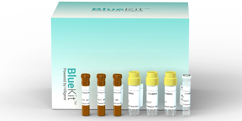 293T Cell Residual DNA Detection Kit (qPCR)