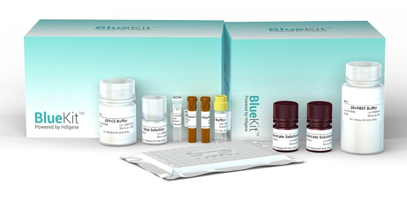 293T HCP ELISA Detection Kit