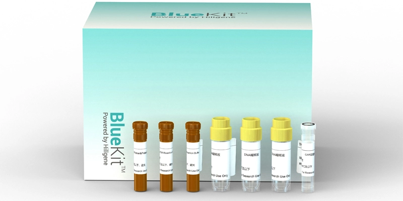 E.coli Residual Total RNA Detection Kit (RT-PCR)