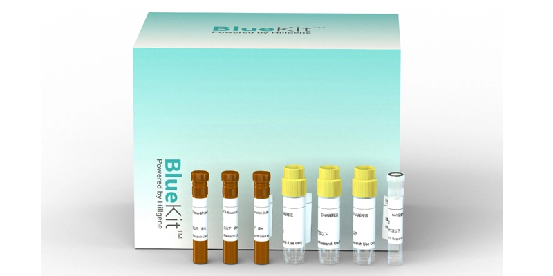 E1A & SV40LTA Residual DNA Detection Kit (Multiplex qPCR)