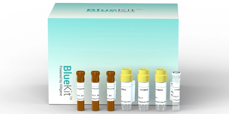 Human Residual DNA Fragment Analysis Detection Kit (qPCR)