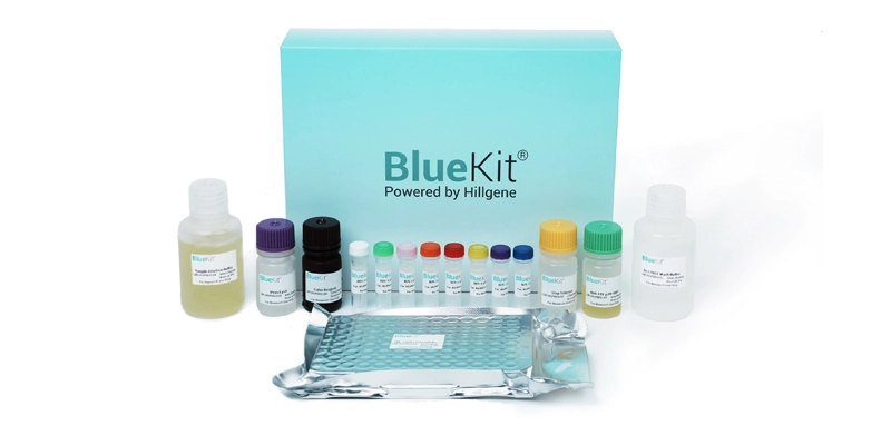 Lentivirus Titer p24 ELISA Detection Kit