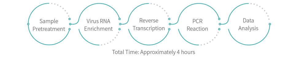 Operating Procedures of Lentivirus Vector RNA Copy Number Detection Kit