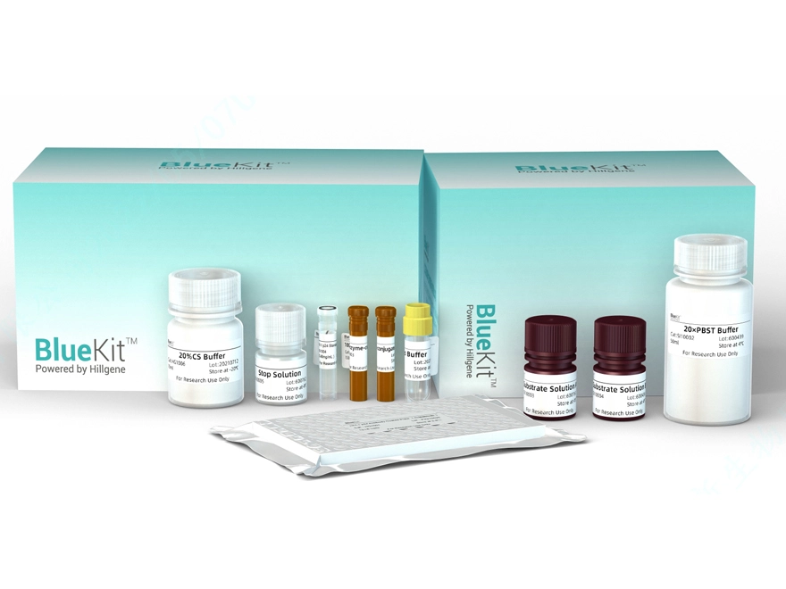 plasmid-residual-dna-detection-kit-qpcr-for-sale