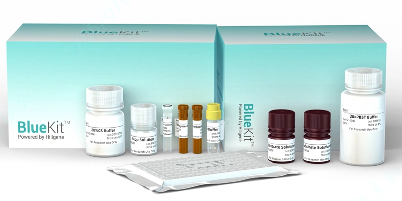 Plasmid Residual DNA Detection Kit (qPCR)