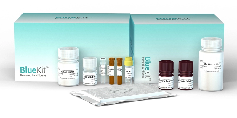 T7 RNA Polymerase ELISA Detection Kit (2G)