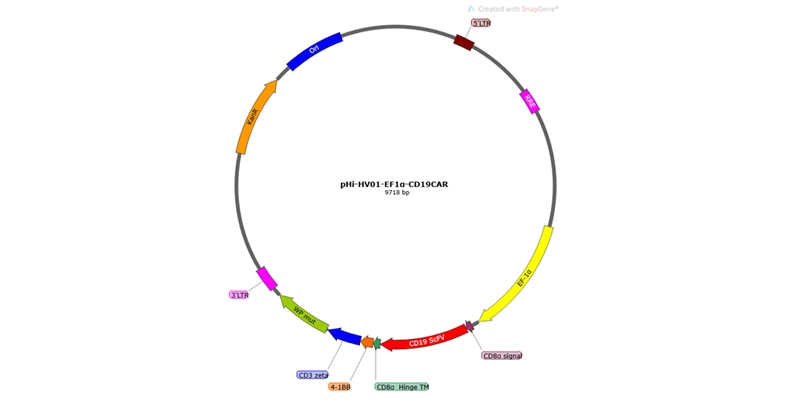 CD-19 CAR-NK Premade Lentivirus