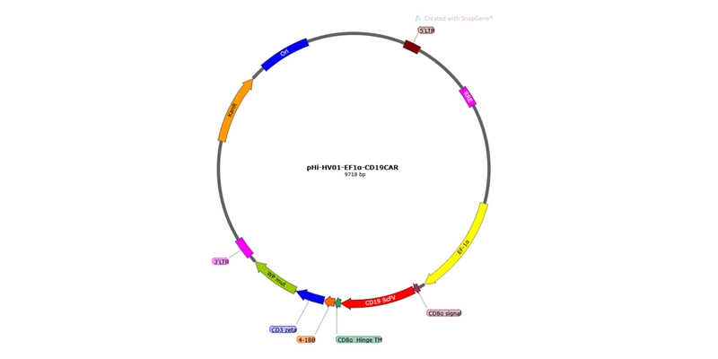 CD-19 CAR-T Premade Lentivirus