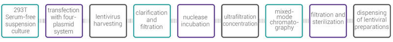 CD19 CAR-T Lentivirus Preparation Process