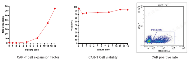 Data of CD-19 CAR-T Premade Lentivirus