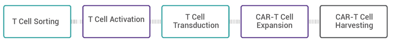 Data of CD-19 CAR-T Premade Lentivirus