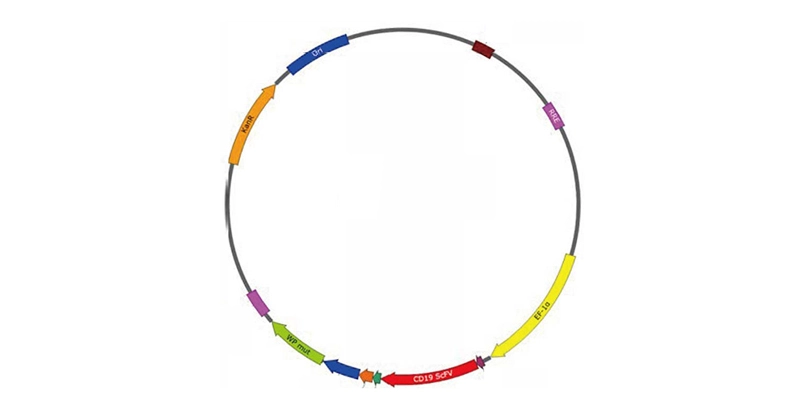 HiPlas™ LentiHelper Plasmids for T