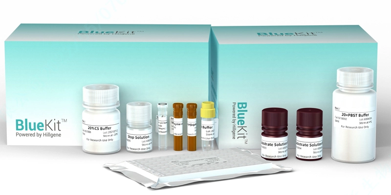 HIV-1 p24 ELISA Detection Kit