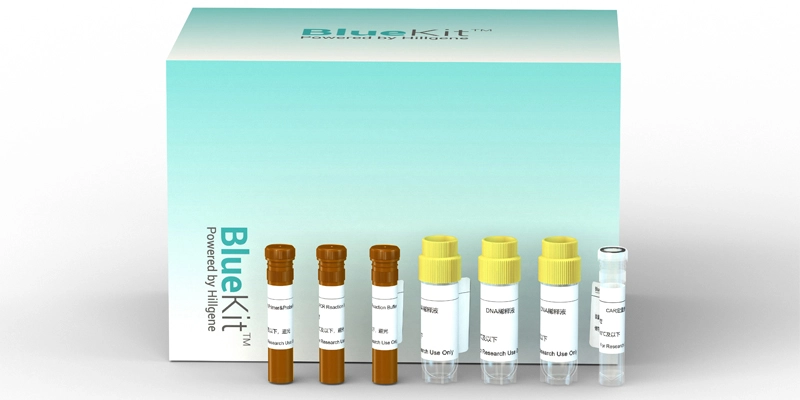 CAR/TCR Gene Copy Number Detection Kit (Multiplex qPCR)