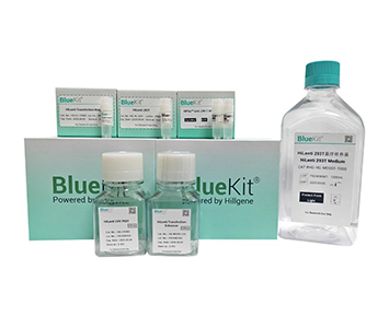 Tips for Successful Lentiviral Transduction