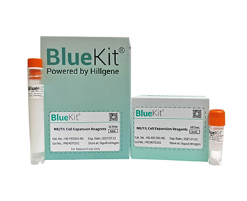 Utilizing interleukin 2 for Tumor-Infiltrating Lymphocytes(TIL) activation and expansion