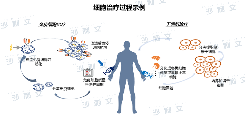 Emerging Frontier in Pharma CXO 1