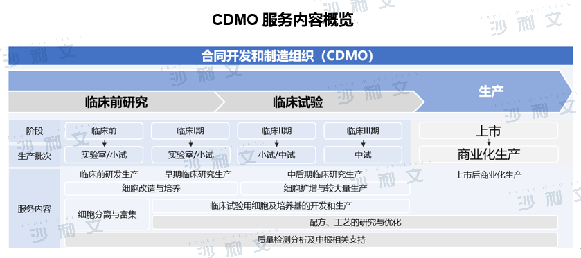 Emerging Frontier in Pharma CXO 2