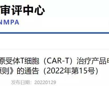 Center for Drug Evaluation (CDE) Issued the Notification of “Technical Guideline for the Clinical Risk Management Plan for Marketing Application of Chimeric Antigen Receptor T cell (CAR-T) Therapy Pro