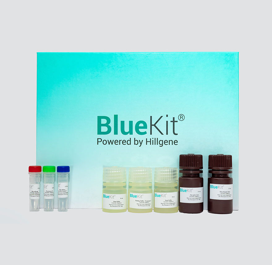 CD19 CAR T Cell Preparation Kit