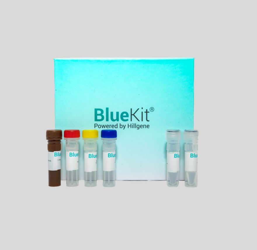E.coli Residual DNA Detection Kit (qPCR)