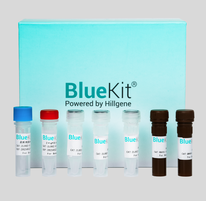 293T Cell Residual DNA Detection Kit (qPCR)