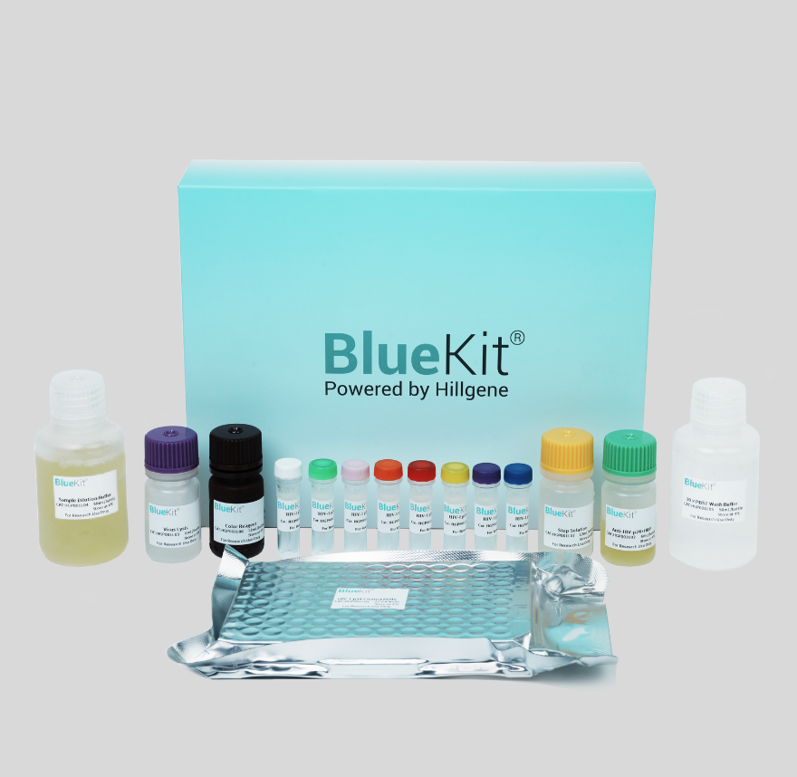 CAR/TCR Gene Copy Number Detection Kit (Multiplex qPCR)