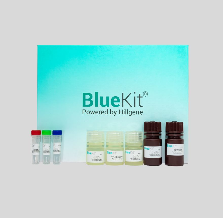 Human Residual DNA Fragment Analysis Detection Kit (qPCR)
