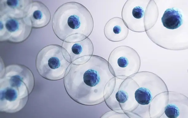 istockphoto-2202900530-612x612.jpg istockphoto-2202900530-612x612.jpg