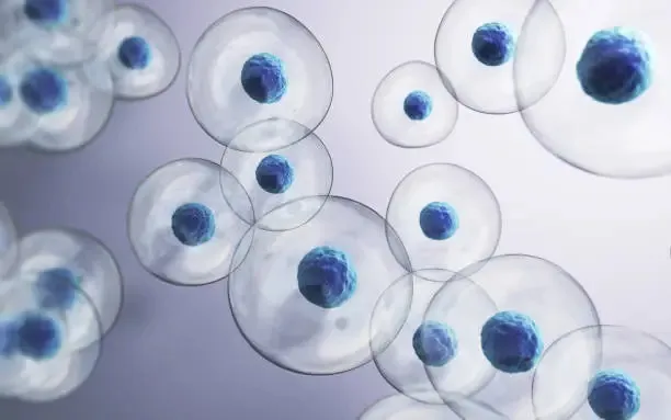 FDA Removes REMS Requirements for CAR-T Therapies, Paving the Way for Broader Patient Access