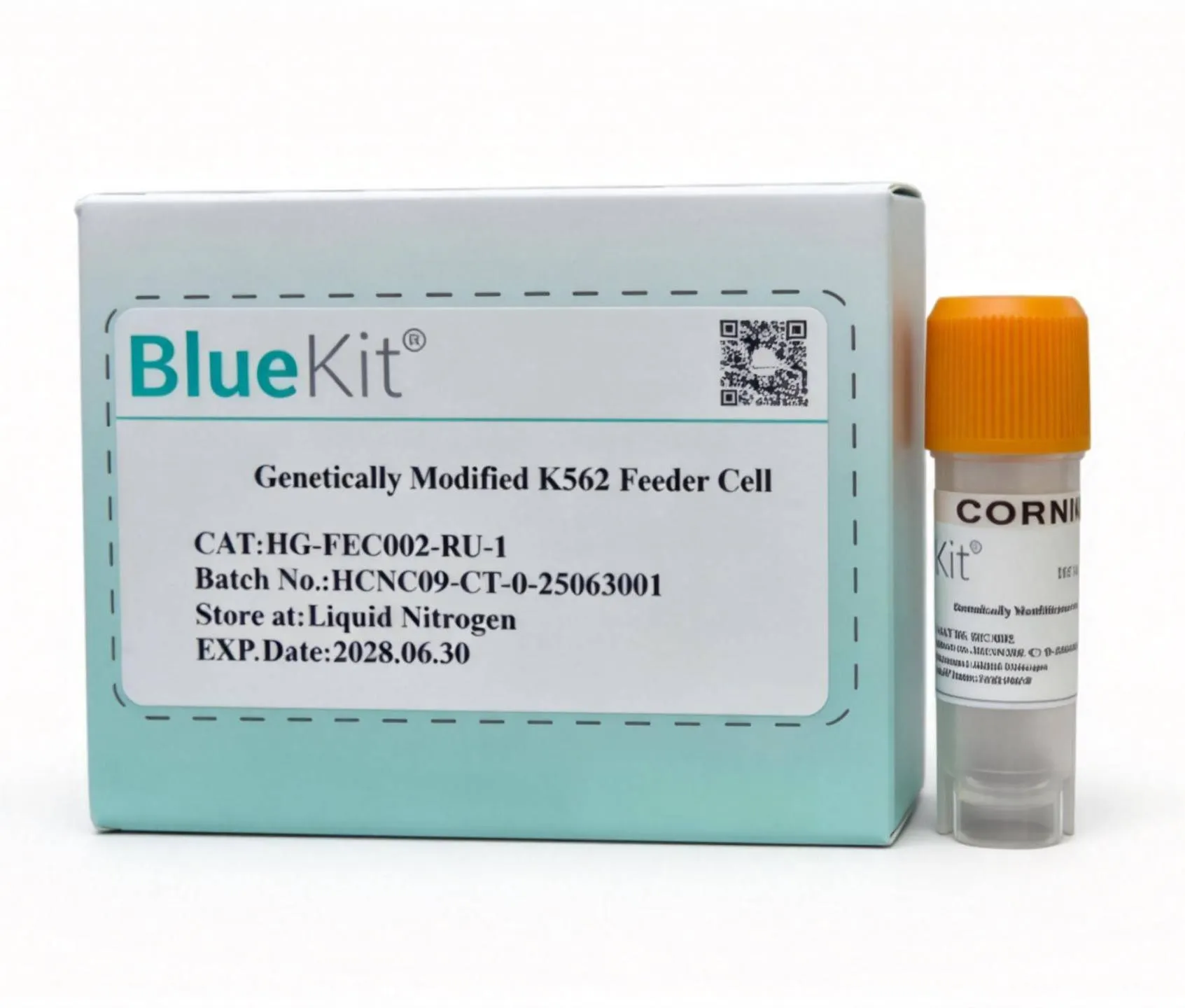 Genetically Modified K562 Feeder Cell