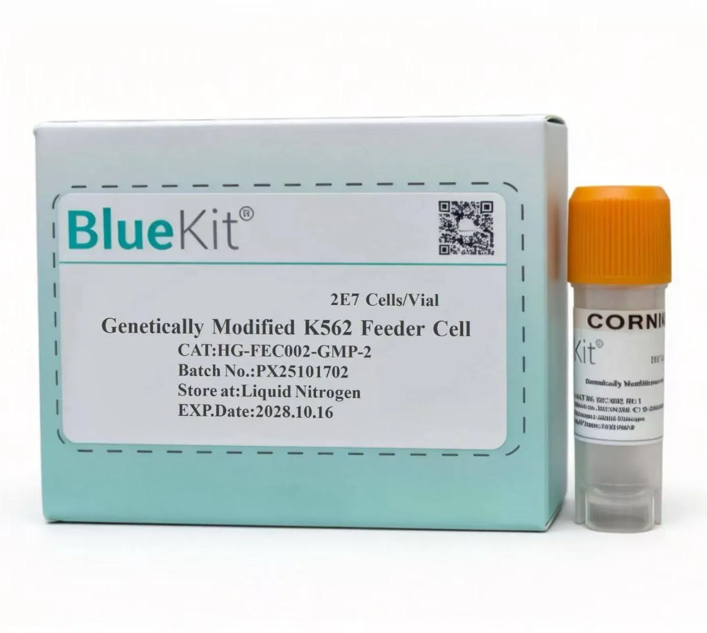 Genetically Modified K562 Feeder Cell