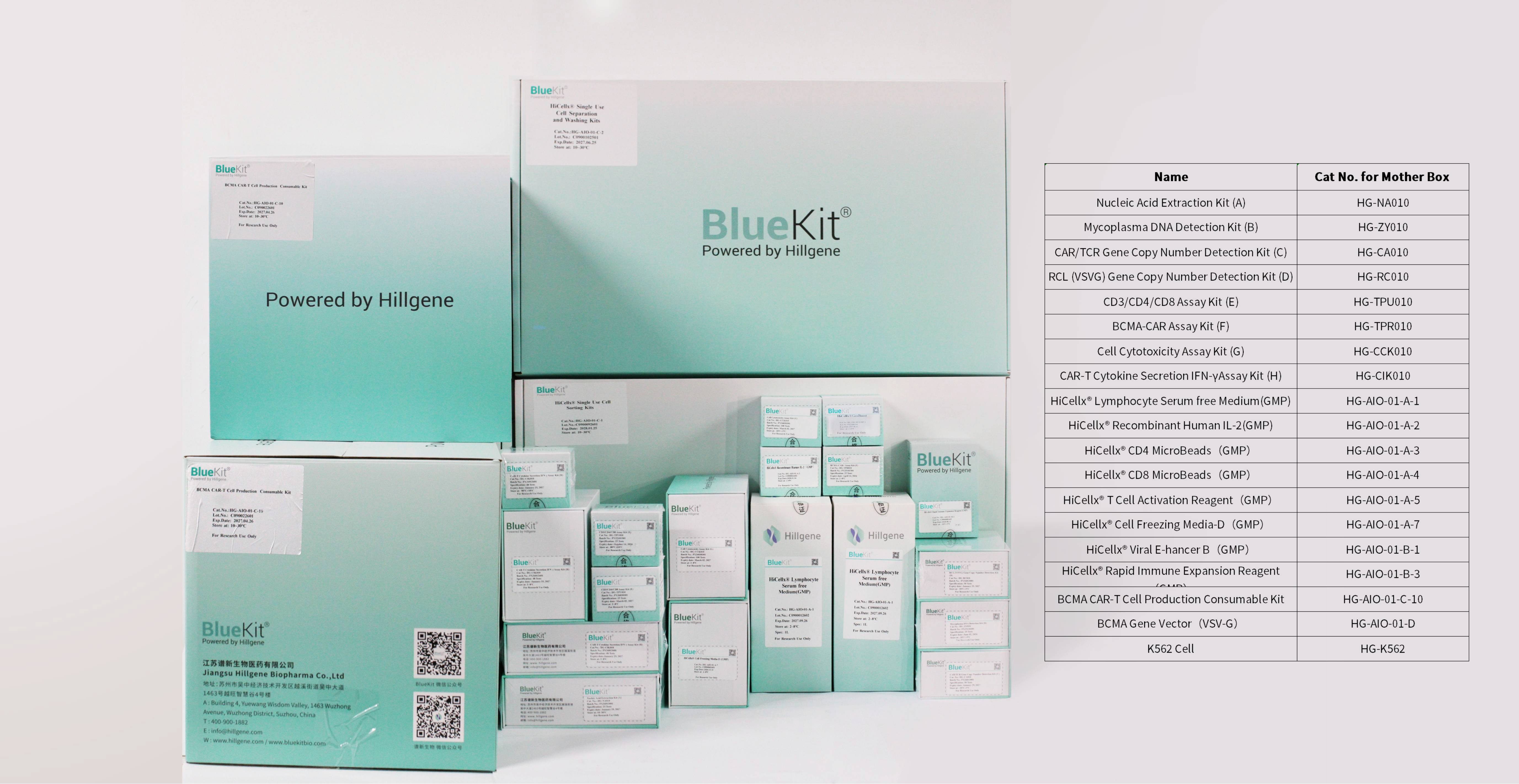 All_in_One_BCMA_CAR-T_Production_and_QC_Kits-3.10_土耳其(1).jpg