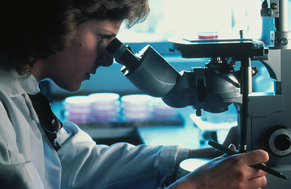 Photo_by_National_Cancer_Institute_on_Unsplash.png Photo_by_National_Cancer_Institute_on_Unsplash.png
