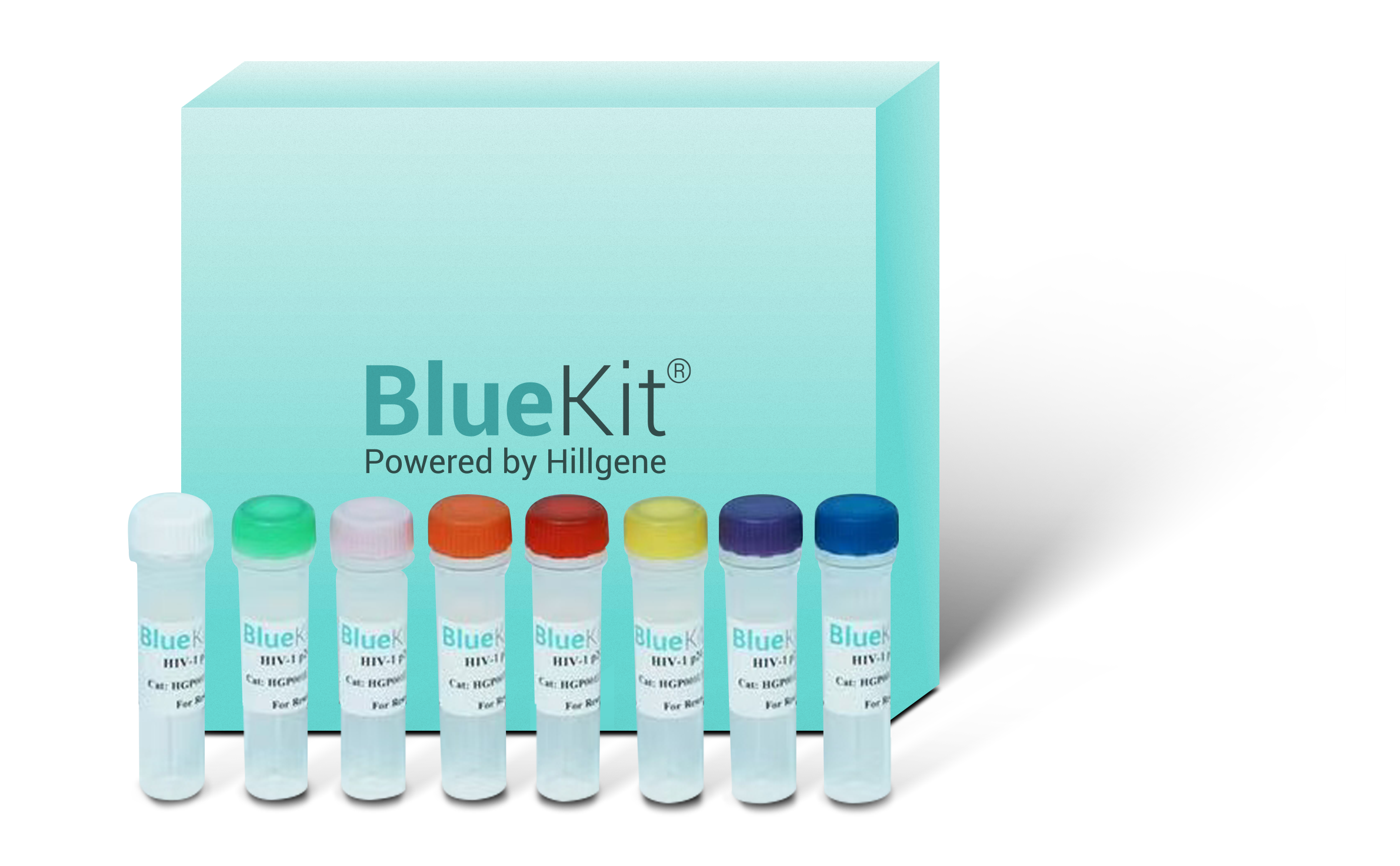 Lentivirus Vector RNA Copy Number Detection Kit